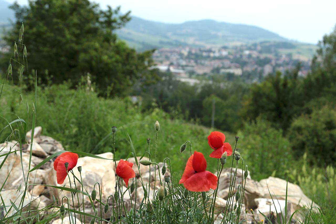 La Maesta' Panzió Langhirano Kültér fotó